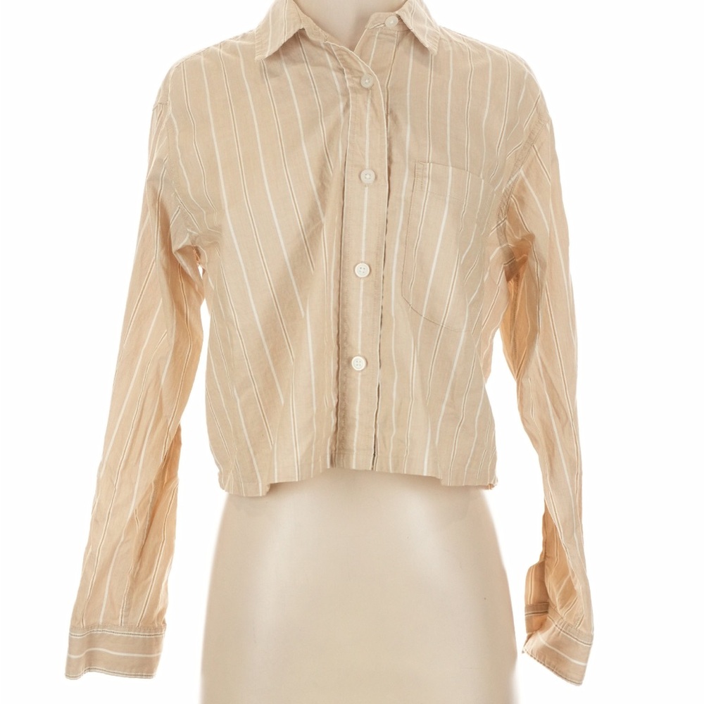 Everlane Tan Striped Button-Down Shirt